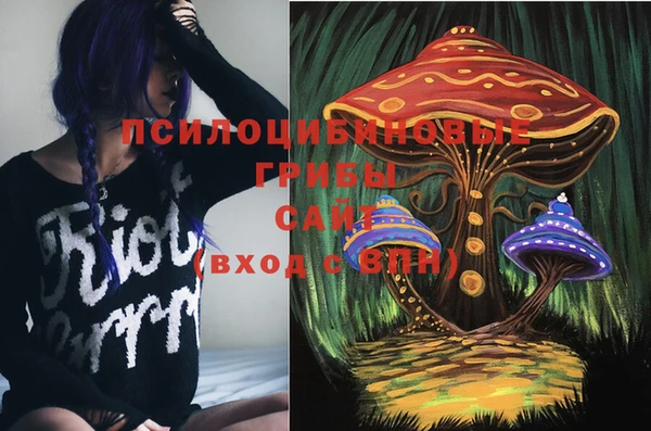 индика Нягань
