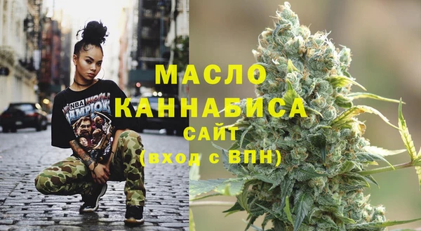 индика Нягань
