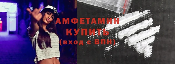 индика Нягань