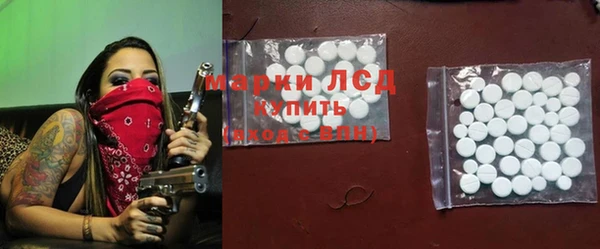 сатива Осташков