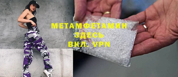 индика Нягань