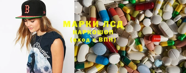 индика Нягань