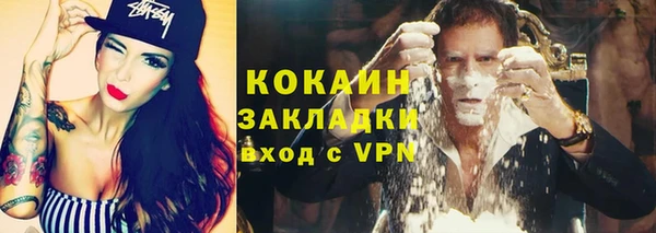 индика Нягань