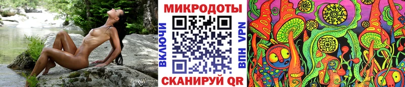 цена Старый Оскол Псилоцибиновые грибы Cubensis